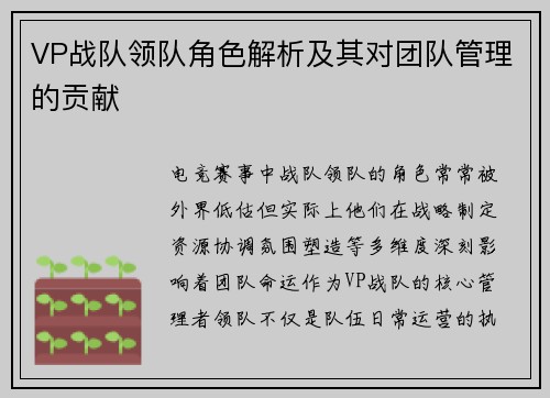 VP战队领队角色解析及其对团队管理的贡献